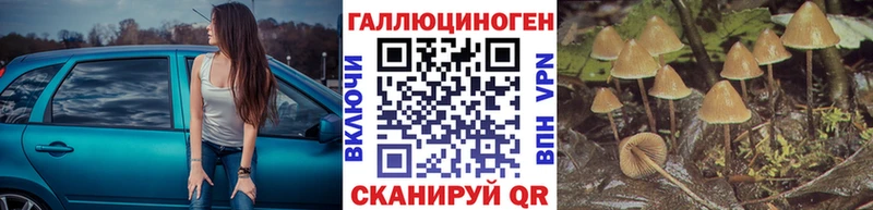 Псилоцибиновые грибы GOLDEN TEACHER  мориарти клад  Салехард  МЕГА ТОР 